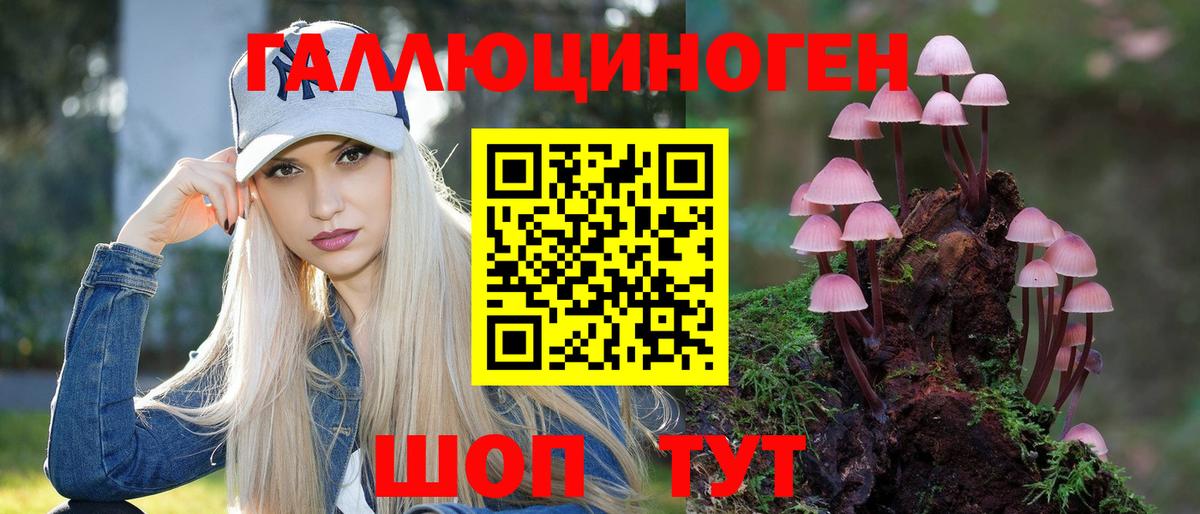Галлюциногенные грибы Cubensis Тобольск